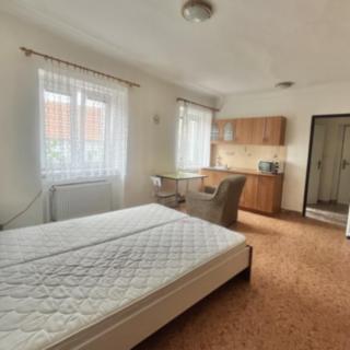 Pronájem bytu 1+kk, garsoniery 28 m² Město Touškov
