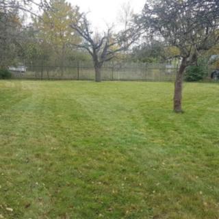 Prodej komerčního pozemku 1 070 m² Útušice Robčice