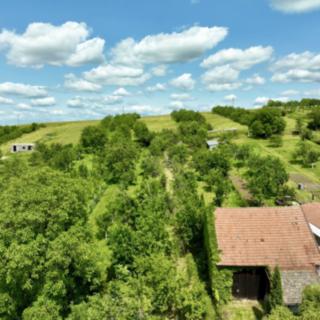 Prodej stavební parcely 532 m² Boršice u Blatnice