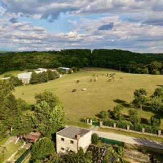 Prodej stavební parcely 5845 m² Ochoz u Brna