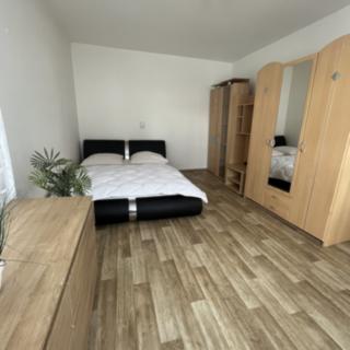 Pronájem bytu 1+1 40 m² Skalice u České Lípy
