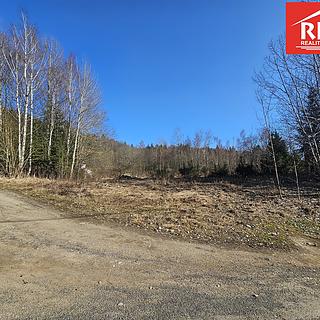 Prodej stavební parcely 6 347 m² Mariánské Lázně Úšovice, Za Školou