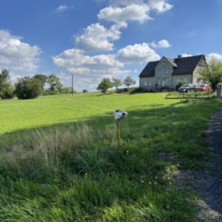 Prodej rodinného domu 350 m² Rybniště