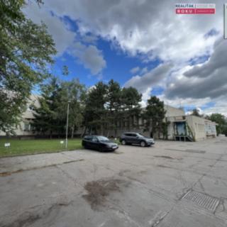 Pronájem obchodu 342 m² Brno