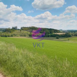 Prodej louky 15 340 m² Lísek Vojtěchov