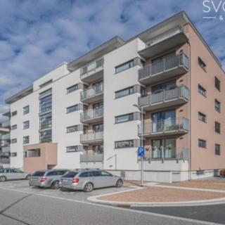 Pronájem bytu 2+kk 46 m² Hradec Králové Nový, Antonína Petrofa