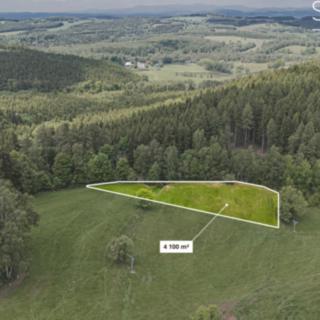 Prodej stavební parcely 4 100 m² Olešnice v Orlických horách
