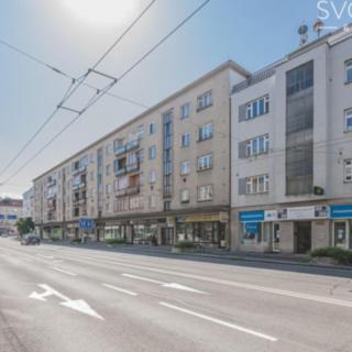 Pronájem bytu 1+1 35 m² Hradec Králové Pražské Předměstí, Gočárova třída