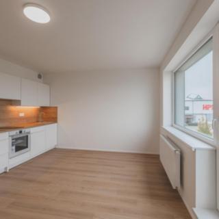 Pronájem bytu 1+kk, garsoniery 30 m² Hradec Králové