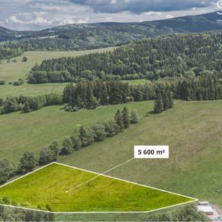 Prodej stavební parcely 5 600 m² Olešnice v Orlických horách