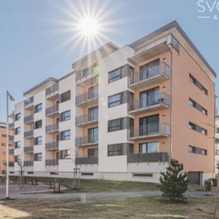 Pronájem bytu 2+kk 46 m² Hradec Králové