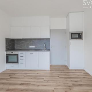 Pronájem bytu 1+kk a garsoniéry 23 m² Hradec Králové Malšovice, Zámostí