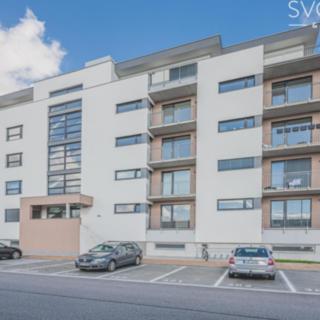 Pronájem bytu 1+kk a garsoniéry 33 m² Hradec Králové Nový, Antonína Petrofa