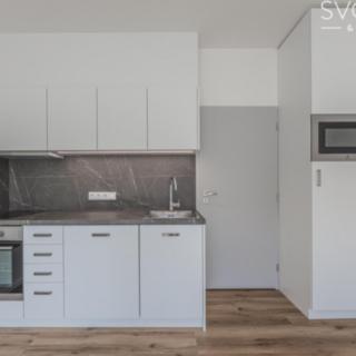 Pronájem bytu 1+kk a garsoniéry 27 m² Hradec Králové Malšovice, Zámostí