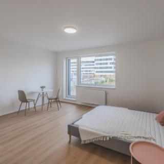 Pronájem bytu 1+kk, garsoniery 30 m² Hradec Králové