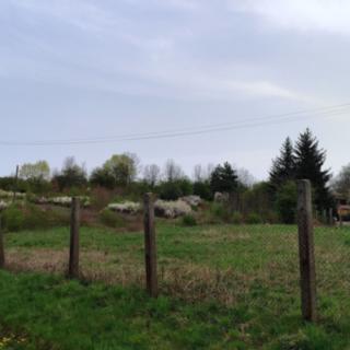 Prodej komerčního pozemku 6 152 m² Dalovice Všeborovice, Stará cesta