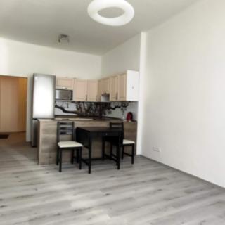 Pronájem bytu 2+kk 50 m² Praha