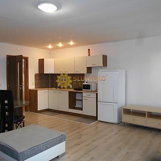 Pronájem bytu 1+kk, garsoniery 35 m² Hradec Králové