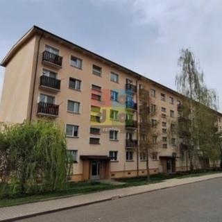 Pronájem bytu 1+1 29 m² Milovice Mladá, Braniborská