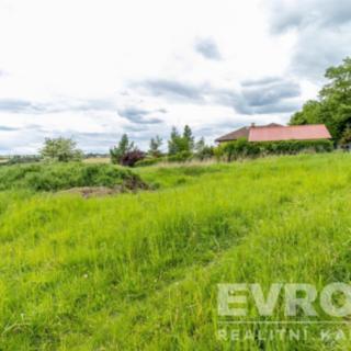 Prodej stavební parcely 620 m² Lípa Petrkov