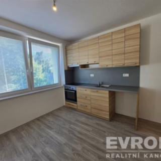 Pronájem bytu 1+kk a garsoniéry 30 m² Havlíčkův Brod, Svatovojtěšská