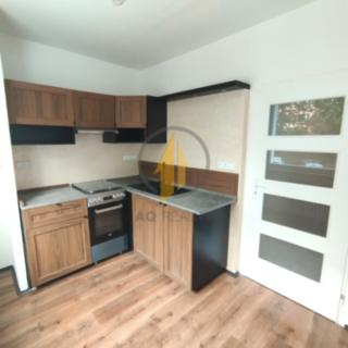 Pronájem bytu 1+1 41 m² Turnov