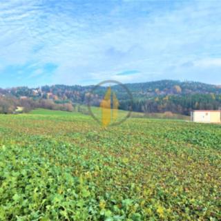 Prodej zemědělské půdy 5760 m² Holín