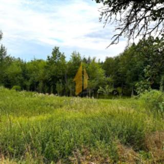 Prodej stavební parcely 2017 m² Tetín