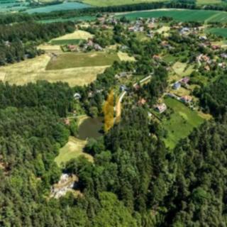 Prodej zemědělské půdy 44 293 m² Holín