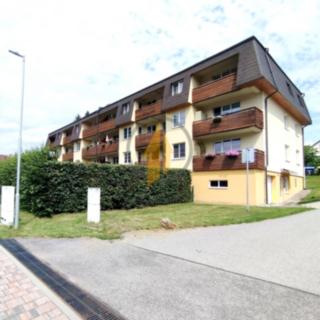 Prodej bytu 1+kk a garsoniéry 37 m² Rychnov u Jablonce nad Nisou, Horská