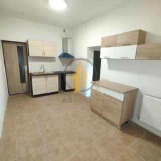 Pronájem bytu 2+1 40 m² Ohrazenice