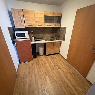 Pronájem bytu 1+kk a garsoniéry 33 m² Brno