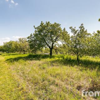 Prodej stavební parcely 4 392 m² Hlína