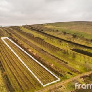 Prodej zemědělské půdy 3587 m² Blatnice pod Svatým Antonínkem