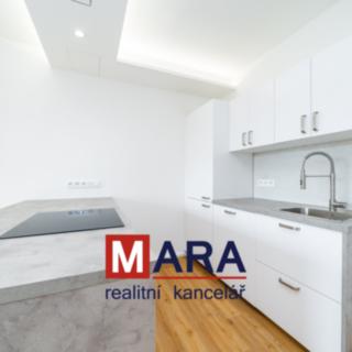 Pronájem bytu 1+kk a garsoniéry 31 m² Olomouc Řepčín, Aloise Rašína