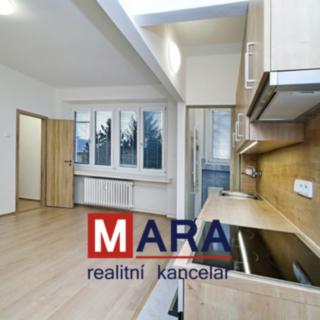 Pronájem bytu 1+kk a garsoniéry 26 m² Přerov I-Město, Slaměníkova