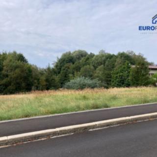 Prodej stavební parcely 3927 m² Aš