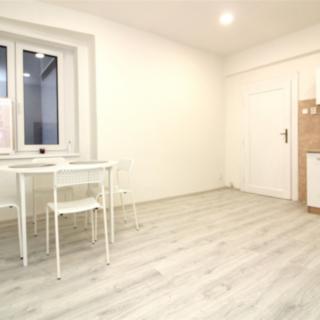 Pronájem bytu 1+1 43 m² Praha