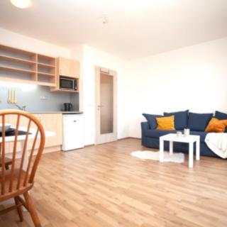 Pronájem bytu 1+kk, garsoniery 30 m² Praha