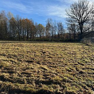 Prodej stavební parcely 1360 m² Oldřichov v Hájích