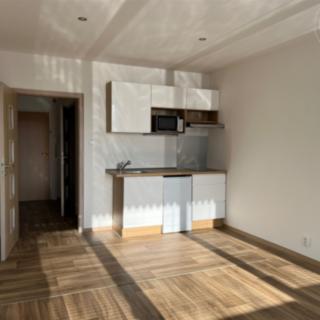 Pronájem bytu 1+kk, garsoniery 29 m² Liberec