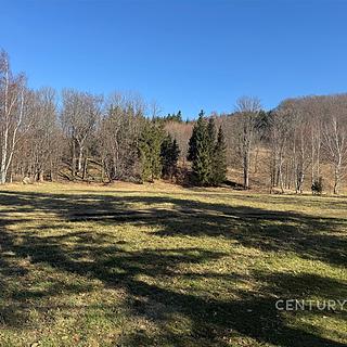 Prodej ostatního pozemku 3 194 m² Bílý Potok