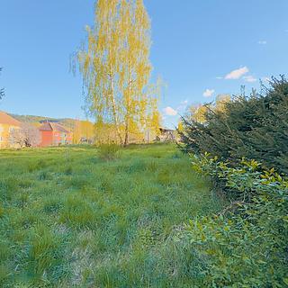 Prodej stavební parcely 671 m² Sloup v Čechách, Komenského