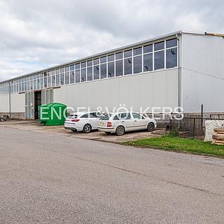 Pronájem skladu 663 m² Vysoké Veselí, Prof. Seemana
