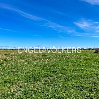 Prodej zemědělské půdy 212000 m&sup2; Lanžhot