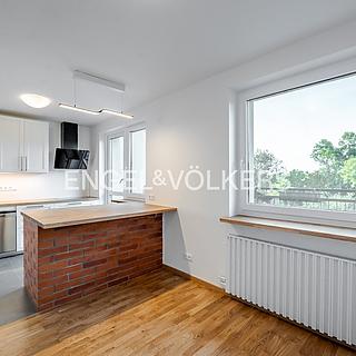 Pronájem rodinného domu, 260m²