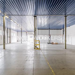 Pronájem skladu 1 321 m² Vysoké Veselí, Prof. Seemana