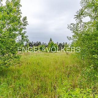 Pronájem komerčního pozemku 30 283 m² Tábor, Chýnovská