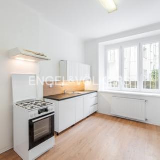 Pronájem bytu 1+1 52 m² Praha Podolí, Výchozí
