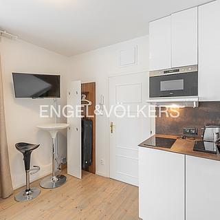 Pronájem bytu 1+kk a garsoniéry 15 m² Praha Smíchov, U Pernikářky
